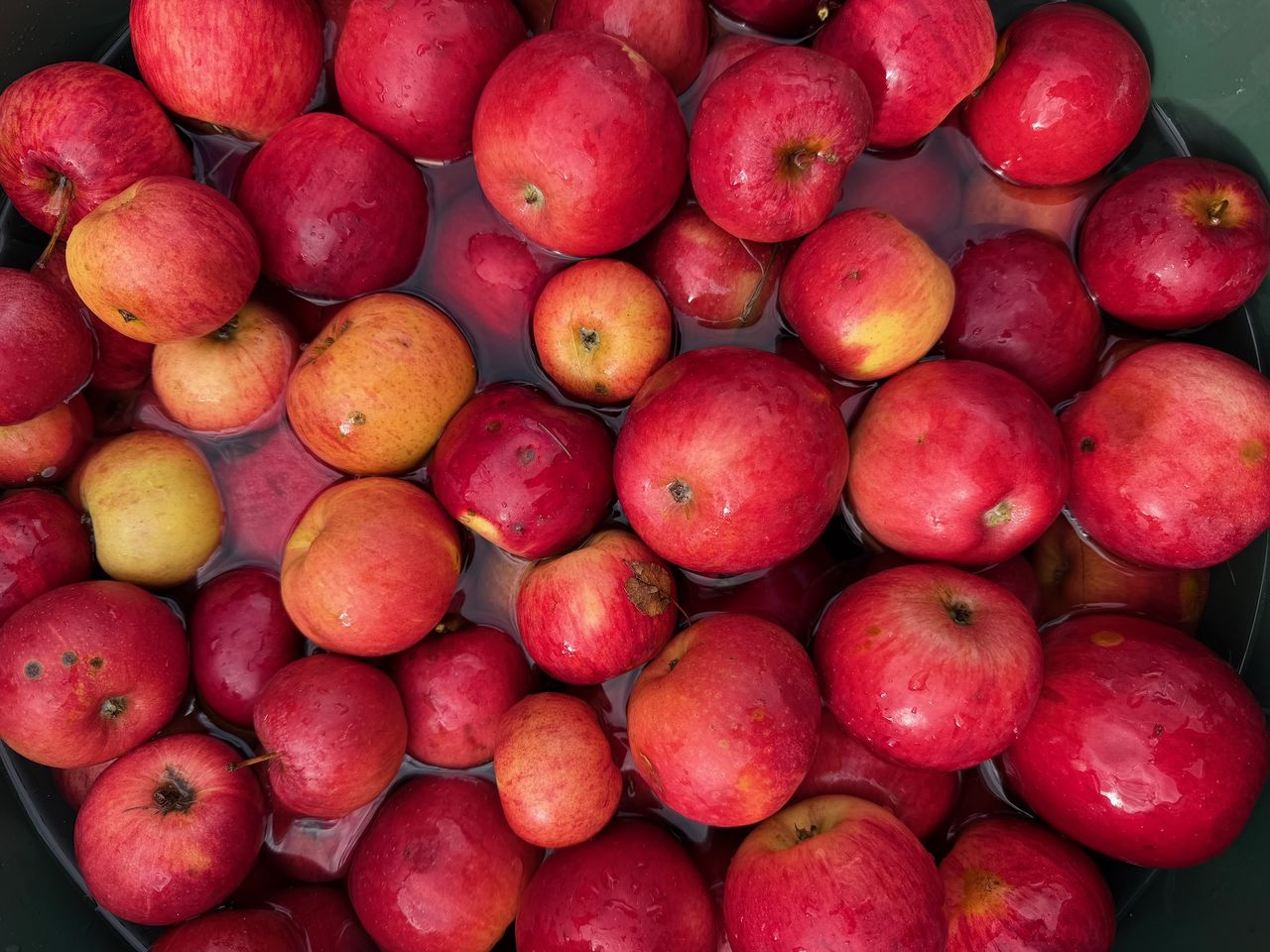 Viele, rote Äpfel in einer Wanne
