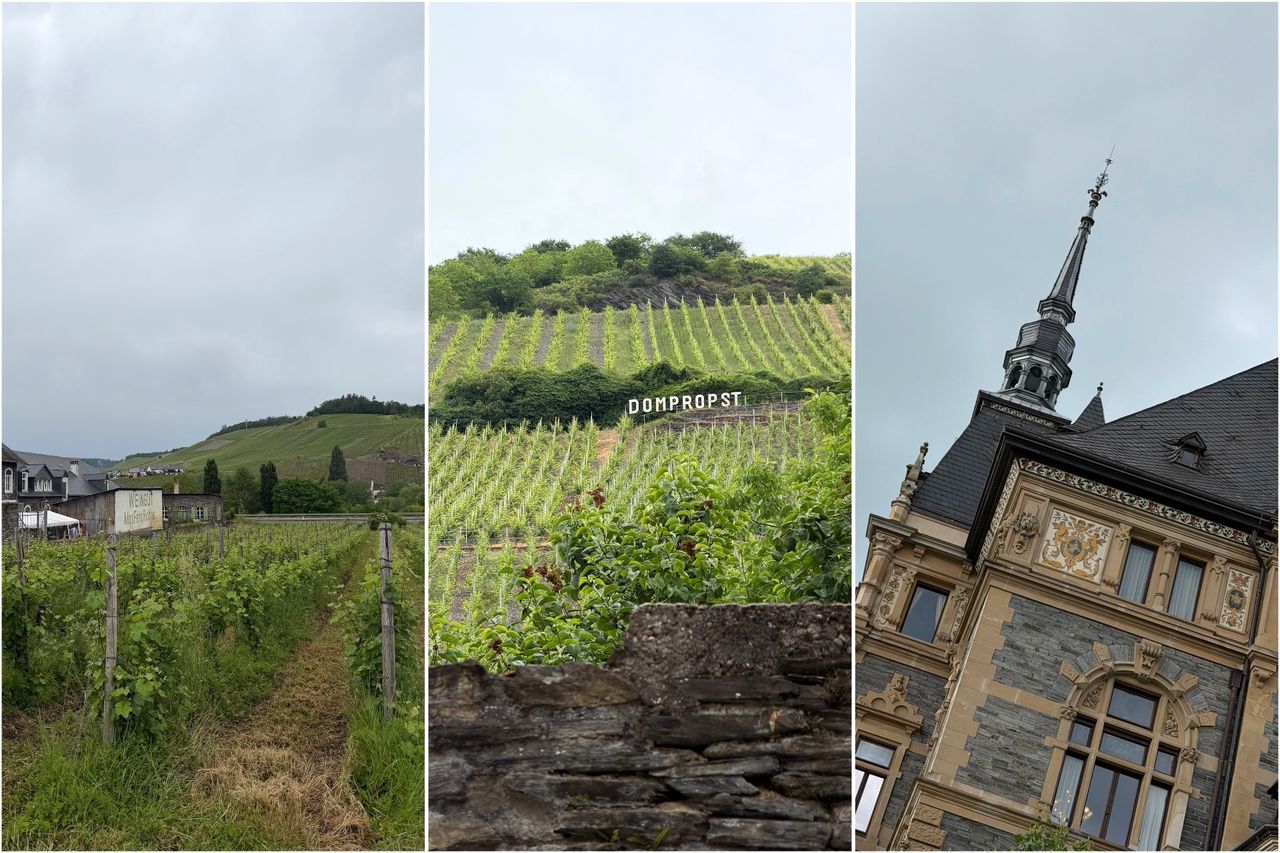 Eine Collage aus einem Bild vom Weingut Max Ferdinand Richter, dem Graacher Domprobst Weinberg und Schloss Lieser Detailaufnahme
