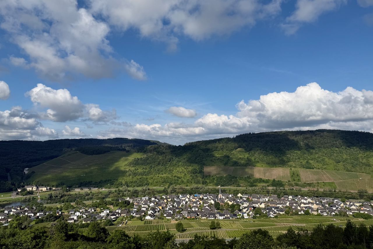 Rachtig vom Aussichtspunkt Moselblick